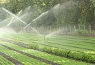 Learmonth VIClandscaping-irrigation-11.jpg; ?>